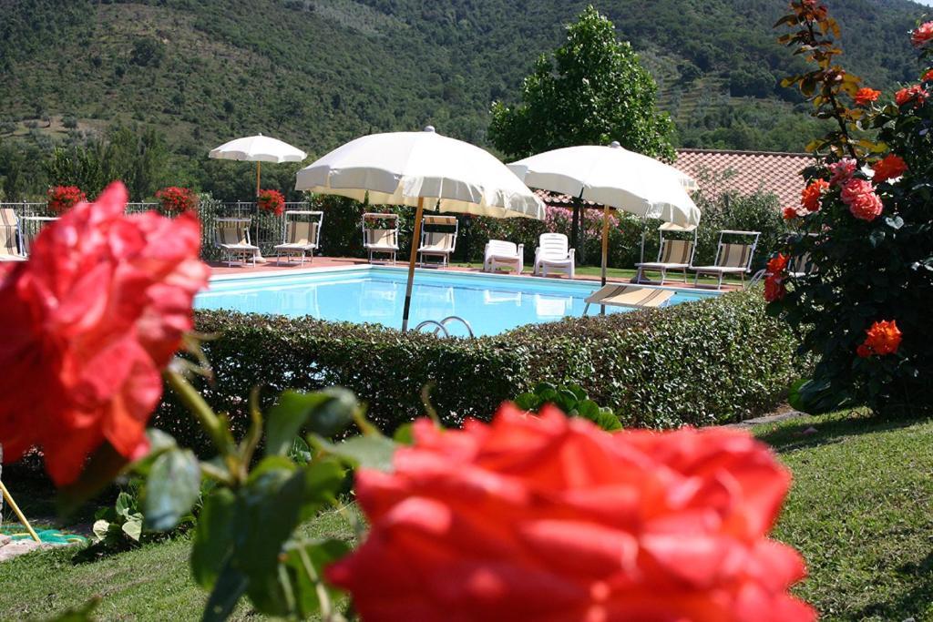 Agriturismo Cortoreggio コルトーナ エクステリア 写真