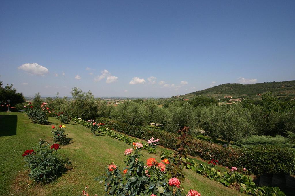 Agriturismo Cortoreggio コルトーナ エクステリア 写真