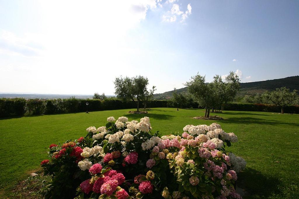Agriturismo Cortoreggio コルトーナ エクステリア 写真