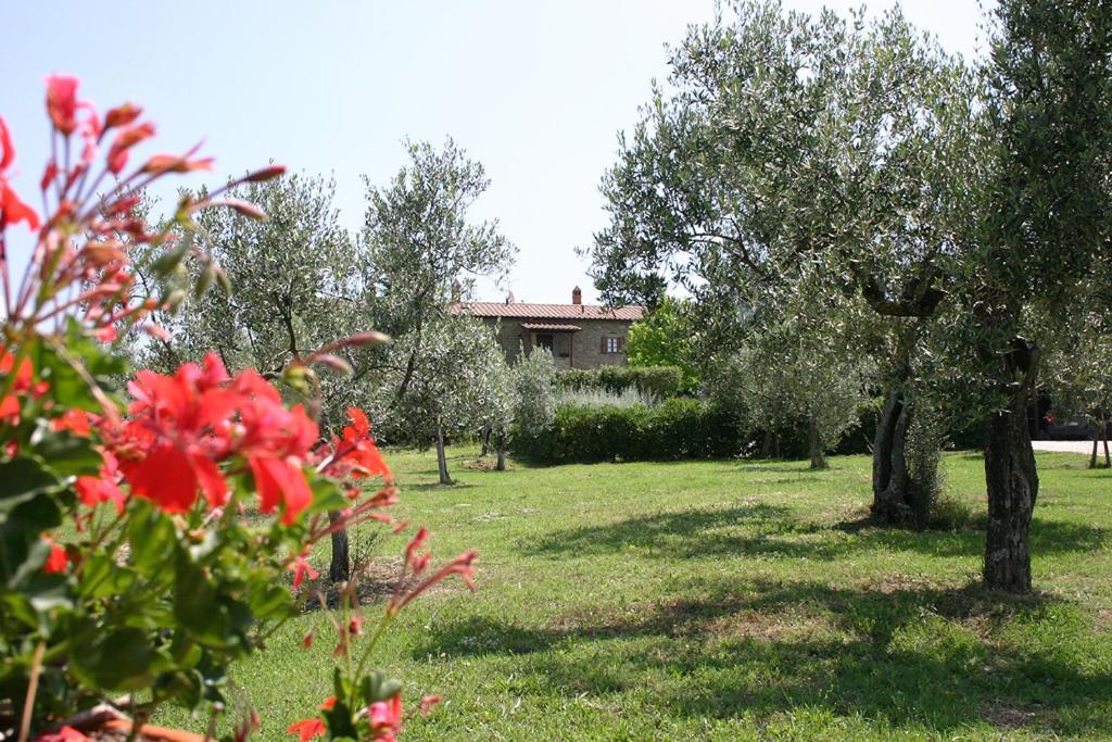 Agriturismo Cortoreggio コルトーナ エクステリア 写真