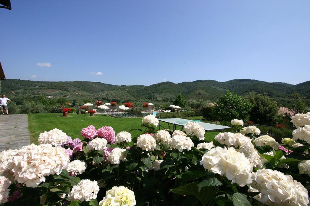 Agriturismo Cortoreggio コルトーナ エクステリア 写真